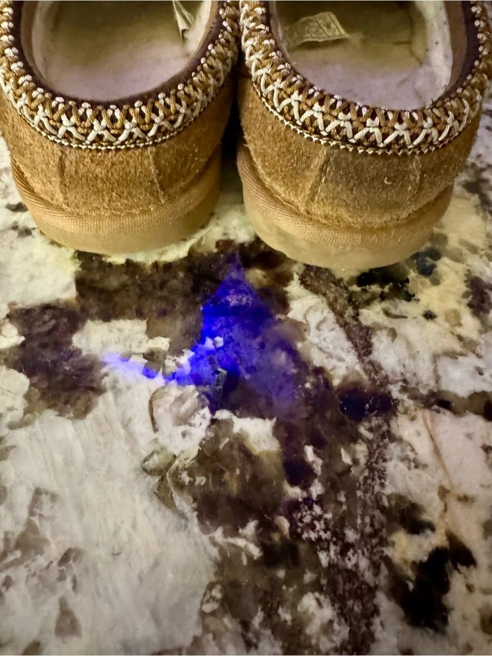 UGG Chestnut Brown Tasman II suede  clog  Kids US 2